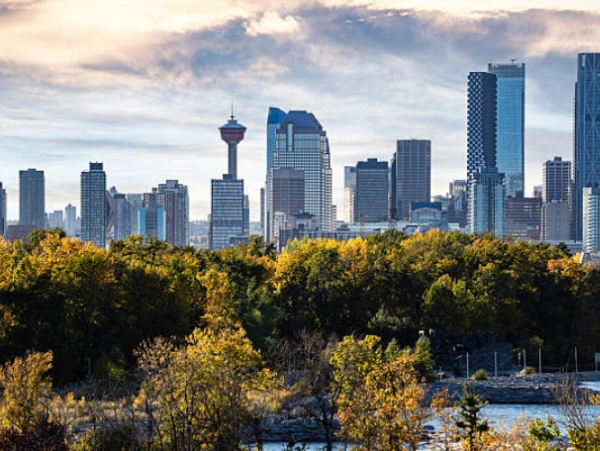 Certified translation in Alberta