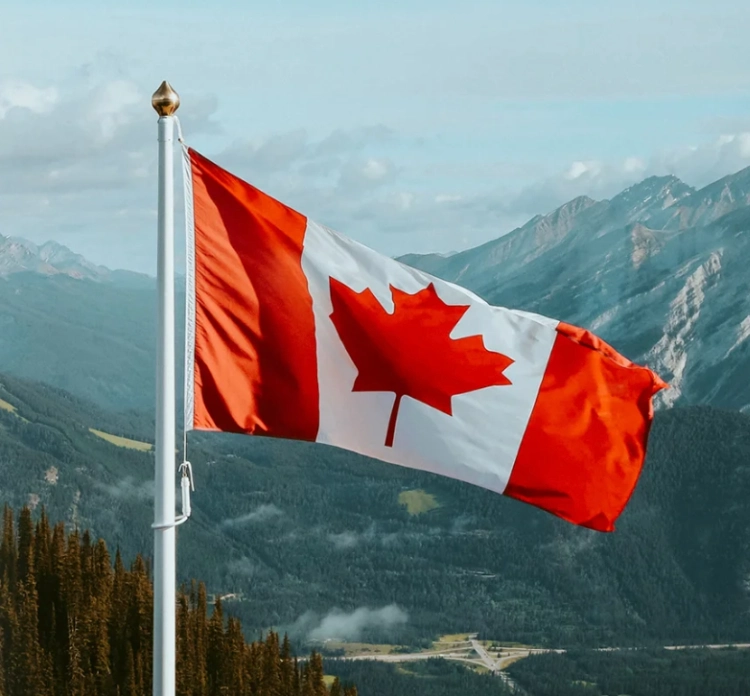 IRCC certified translation in Canada by an accredited translator