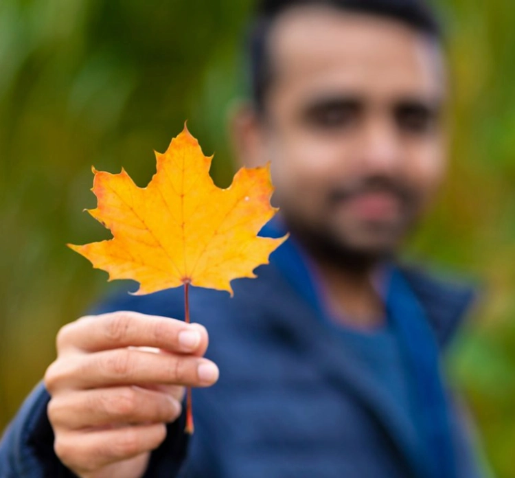 Certified translation for immigration and IRCC applications in Canada